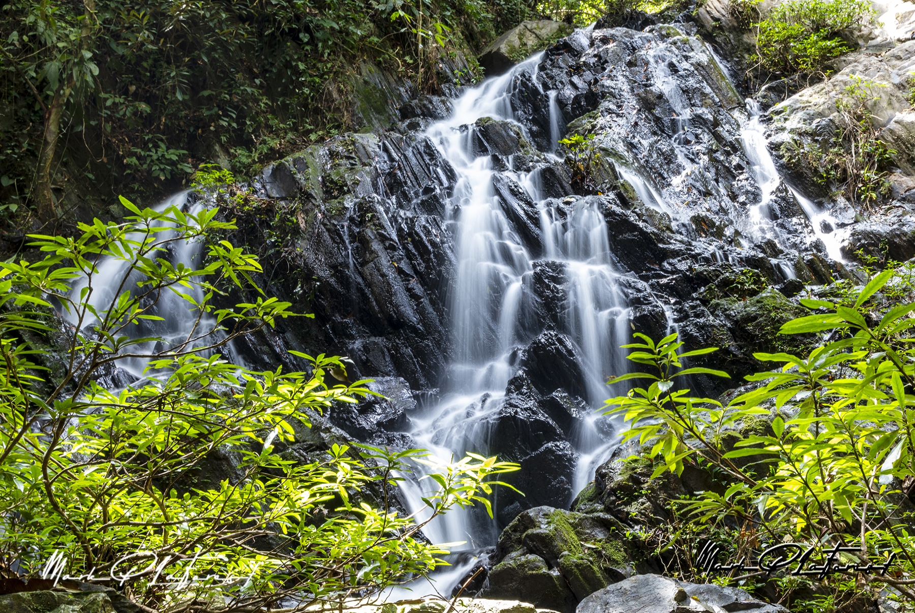 /gallery/central_america/Belize/Stann_Creek/mayflower bocawina np/New Trail Water Fall NBNP 2023-001s_med.jpg